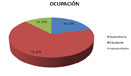 Participantes por Ocupación