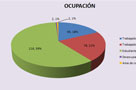 Participantes por Ocupación