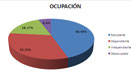Participantes por Ocupación