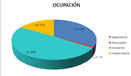 Participantes por Ocupación