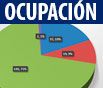 Participantes por Ocupación